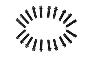 RC4WD Miniature Scale Hex Bolts (M1.6 x 6mm) (Black)